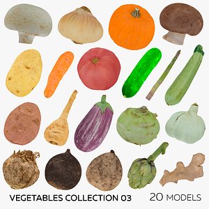 3D model Vegetables Collection 03 - 20 models RAW Scans