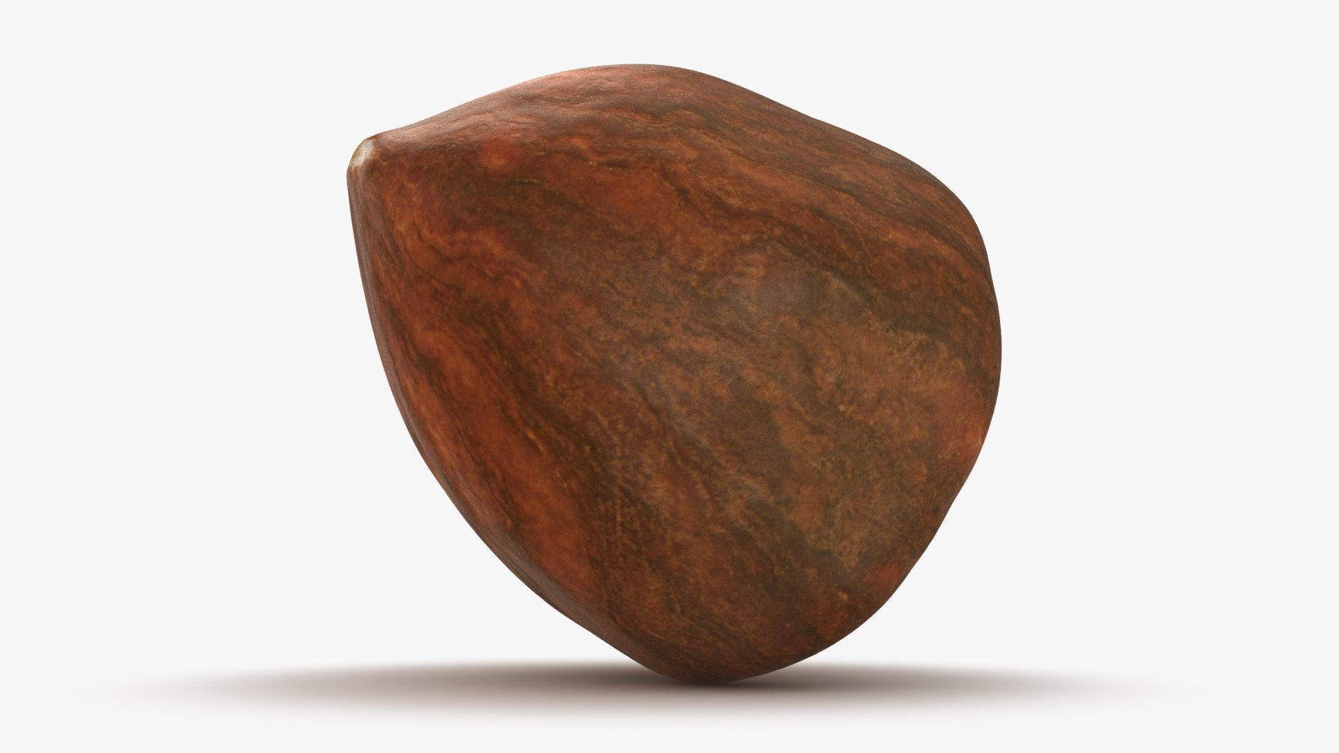 3D Hazelnut 03 model https://p.turbosquid.com/ts-thumb/gF/fbh5CY/0E/hazelnut_03_b0024/jpg/1661716649/1920x1080/fit_q87/3cc0667ba579750c86f8a476539b00b513621ea9/hazelnut_03_b0024.jpg