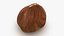 Hazelnut 03