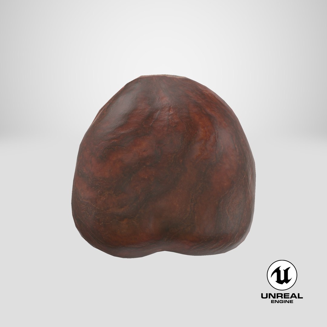 3D Hazelnut 03 model https://p.turbosquid.com/ts-thumb/gF/fbh5CY/bp/stemcell_unreal_render/png/1663830488/1920x1080/fit_q87/6a7d94bf42f16851aedbaed4a4881625af950721/stemcell_unreal_render.jpg