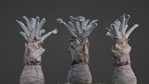 Bismark Palm 3D