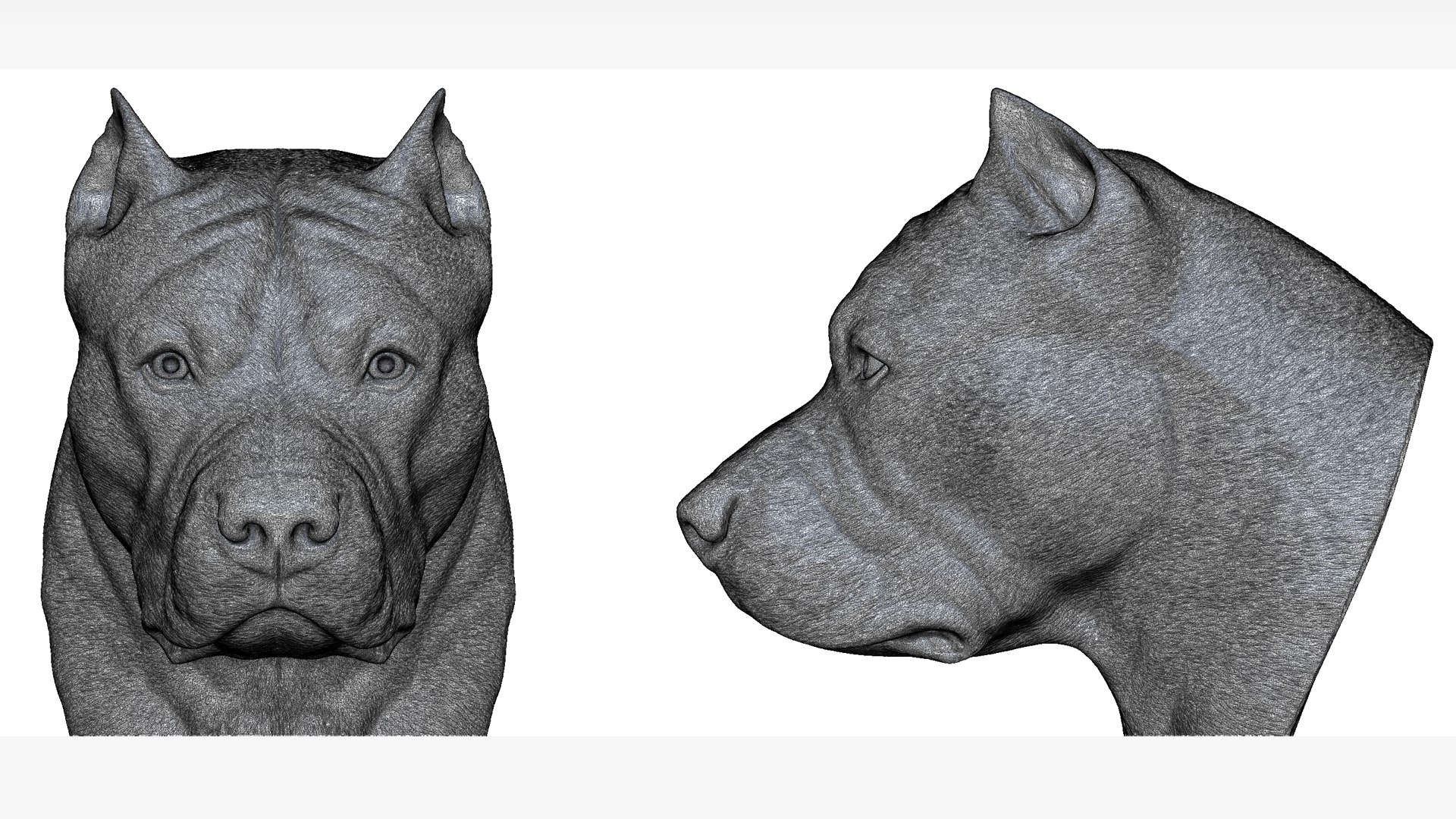 pitbull head for a 3d printer 3D model https://p.turbosquid.com/ts-thumb/gF/r8TEIo/6o/set02/jpg/1635608979/1920x1080/fit_q87/782393af69251a902cf8834fe652076839018e3b/set02.jpg