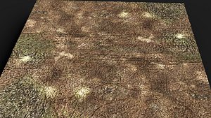 3D terrain ground grass bushes patch pt3 PBR photogrammetry