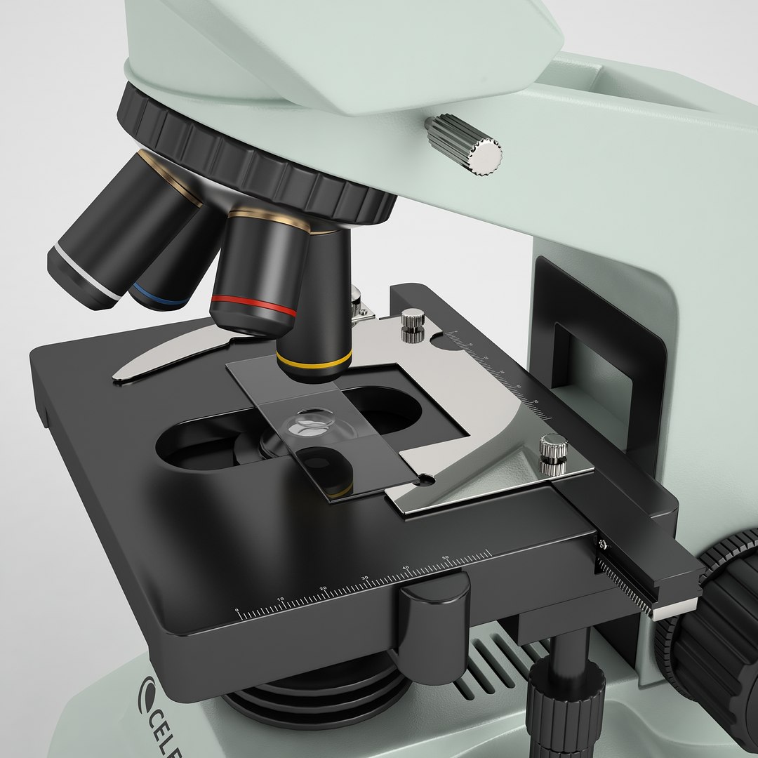 3d celestron microscope 1500