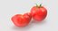 tomato vegetable 3d max