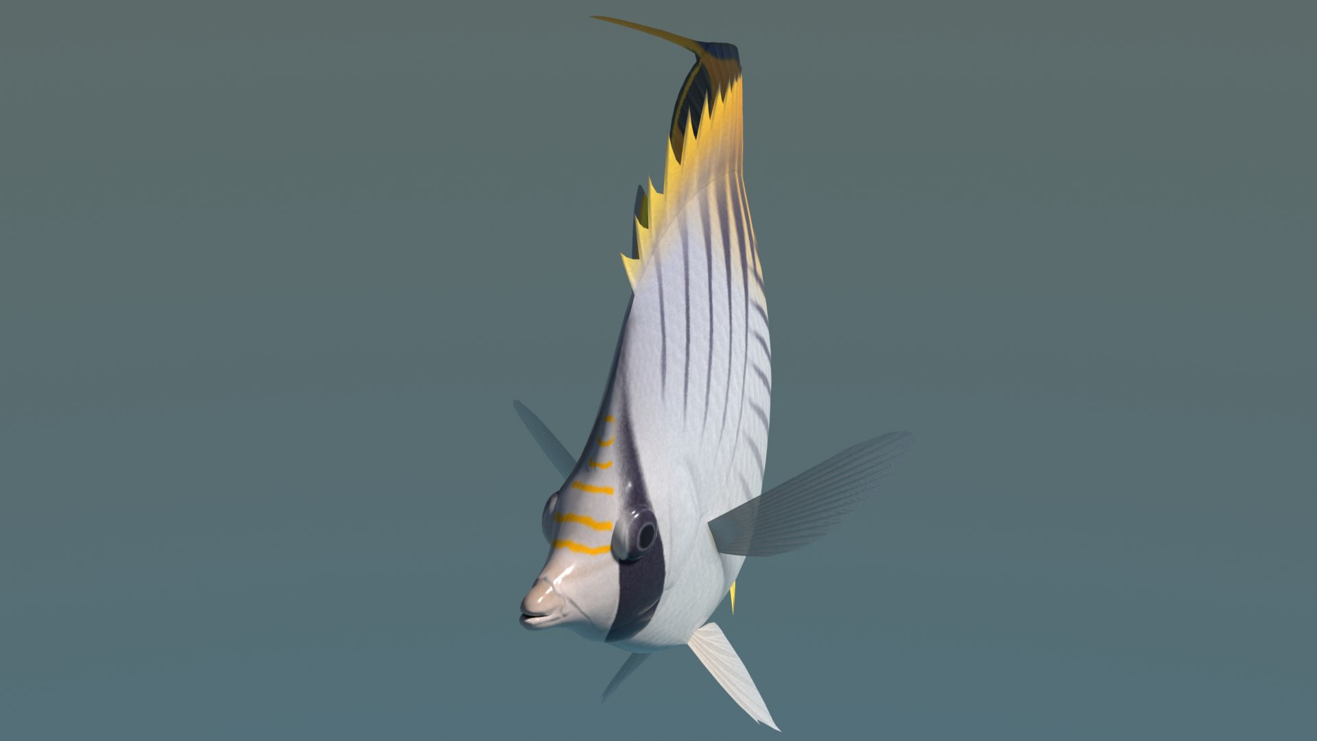 3d model threadfin butterflyfish
