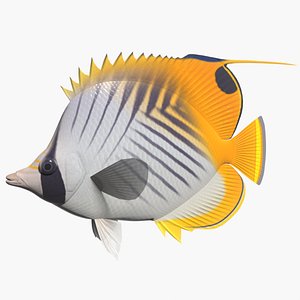 3d model threadfin butterflyfish