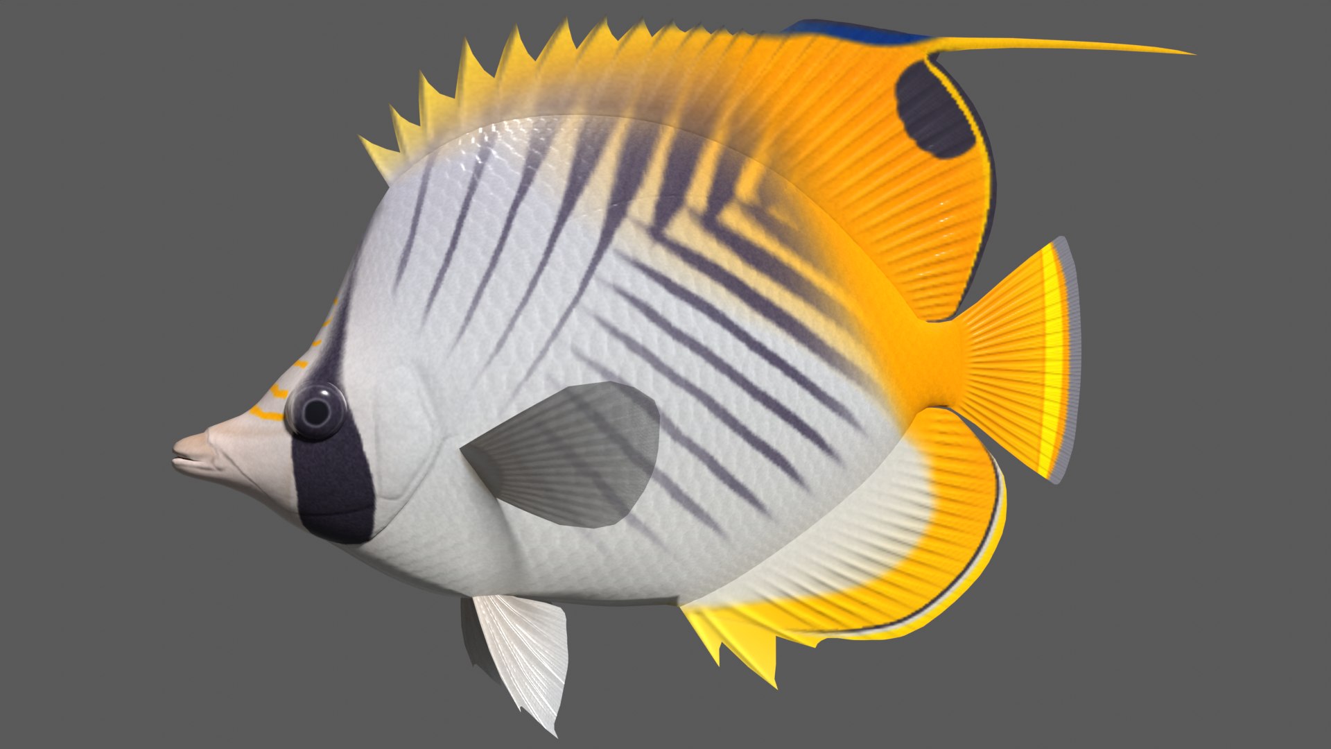 3d model threadfin butterflyfish