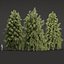 West Himalayan Spruce Trees Collection vol 47-Blender