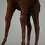Camel 3d numérisation