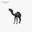 Camel 3d numérisation