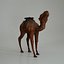 Camel 3d numérisation