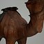 Camel 3d numérisation