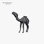 Camel 3d numérisation