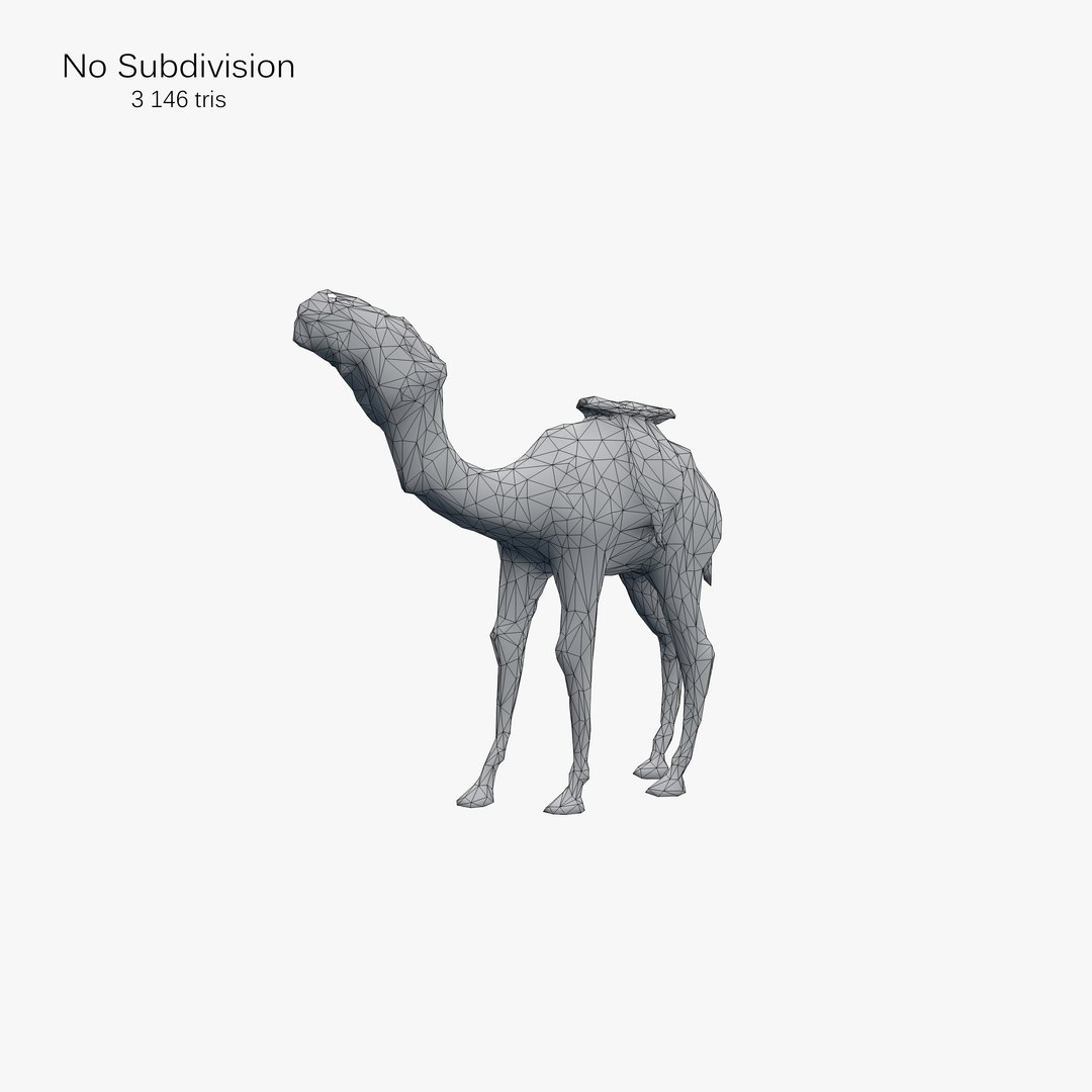 camel scan 3d c4d https://p.turbosquid.com/ts-thumb/gH/21twUt/Y5UOwgdu/25_camel_3d_scan_wire1/jpg/1447776992/1920x1080/fit_q87/6ccec0550948c36483df9525ac6c704c90bbda03/25_camel_3d_scan_wire1.jpg