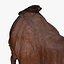 Camel 3d numérisation