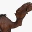 Camel 3d numérisation