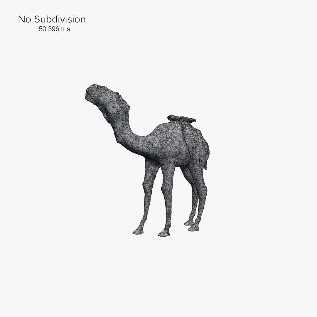 camel scan 3d c4d https://p.turbosquid.com/ts-thumb/gH/21twUt/lMbGBPP8/21_camel_3d_scan_wire1/jpg/1447776992/1920x1080/fit_q87/dcc711b62acd0c0120c06ede0a63d176192cb75a/21_camel_3d_scan_wire1.jpg