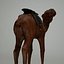 Camel 3d numérisation