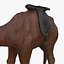 Camel 3d numérisation