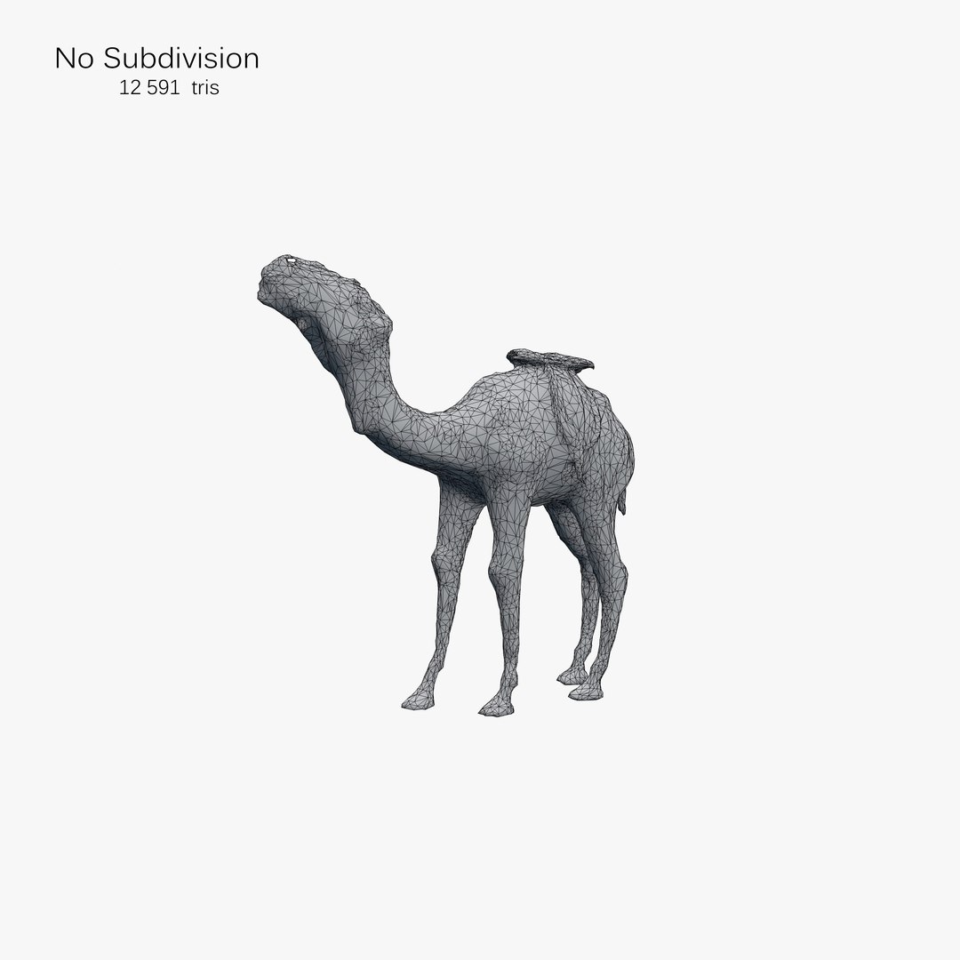 camel scan 3d c4d https://p.turbosquid.com/ts-thumb/gH/21twUt/zy6gYRpm/23_camel_3d_scan_wire1/jpg/1447776992/1920x1080/fit_q87/561d9b76ad863cb9a769b0ab5485faf9baebe08d/23_camel_3d_scan_wire1.jpg