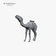 Camel 3d numérisation