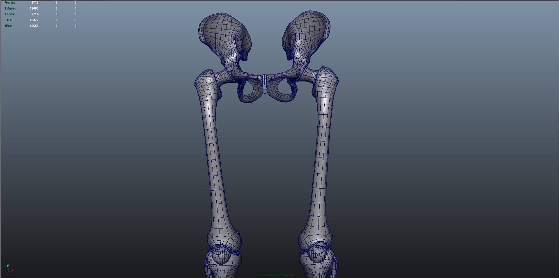 Lower Limbs 3d Model