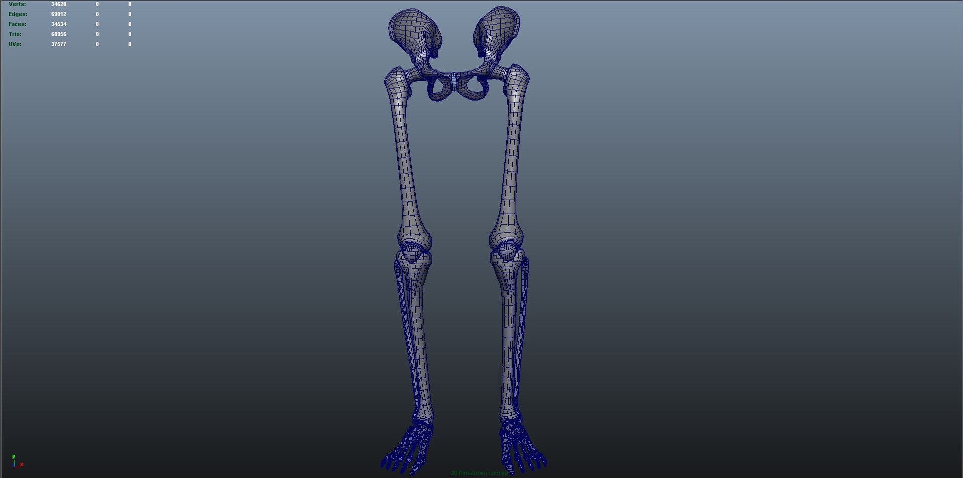 Lower Limbs 3d Model