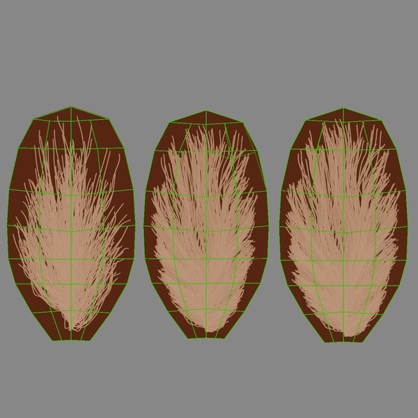modelo 3d gallina roja animada - TurboSquid 2078847