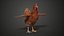 Gallina Rossa Animata