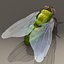 rigged fly max