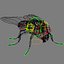 rigged fly max
