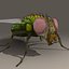 rigged fly max