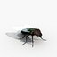 rigged fly max