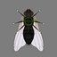 rigged fly max