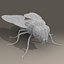 rigged fly max