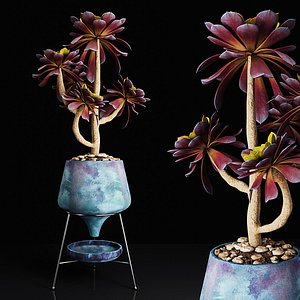 plant 18 3D model