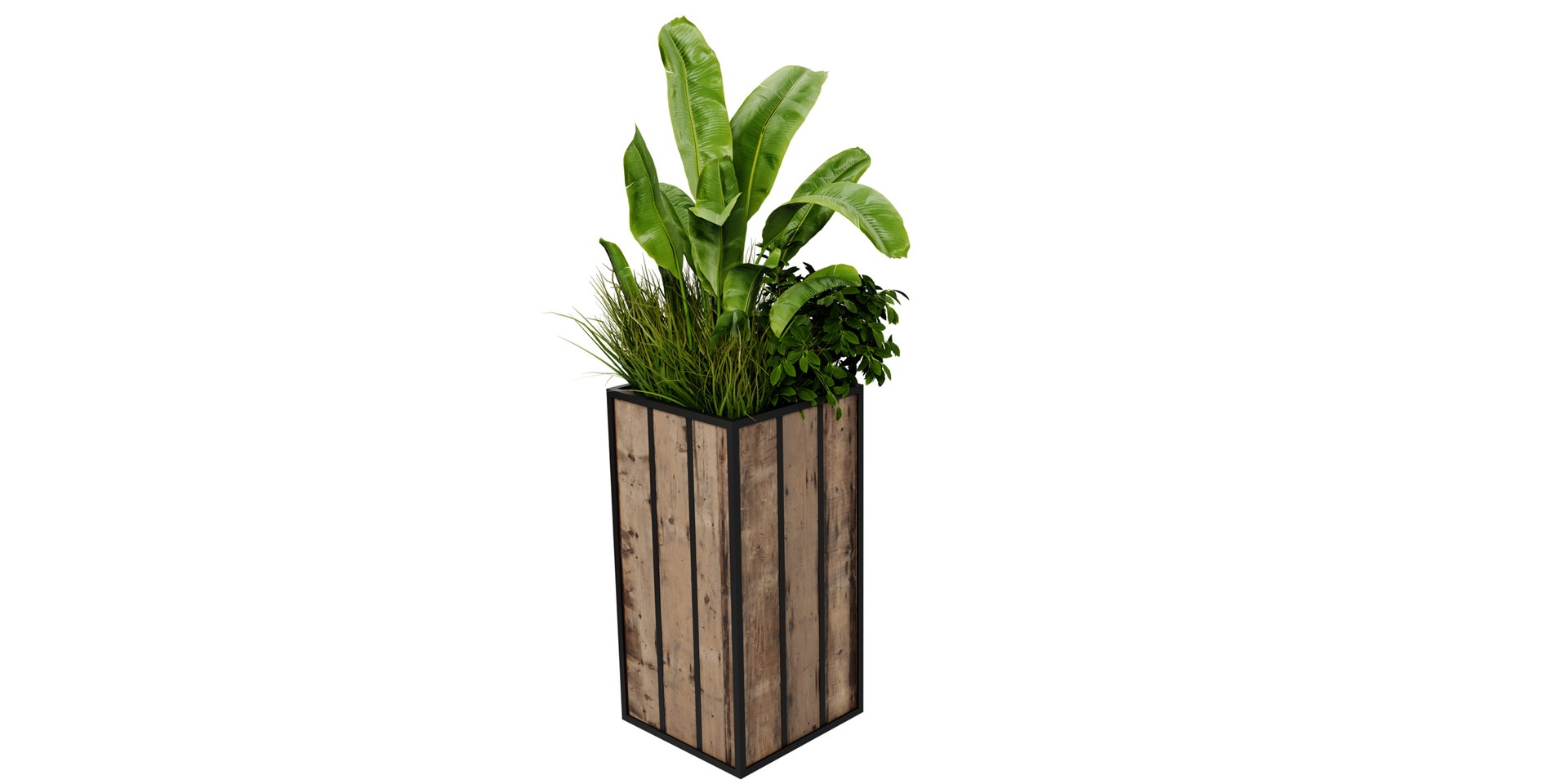 3D Collection plant vol 514 - blender model https://p.turbosquid.com/ts-thumb/gH/WhmYAs/Wd/6/jpg/1691915212/1920x1080/fit_q87/98faae5771eedf474ce37751b7a1fbbe7b06cf6e/6.jpg