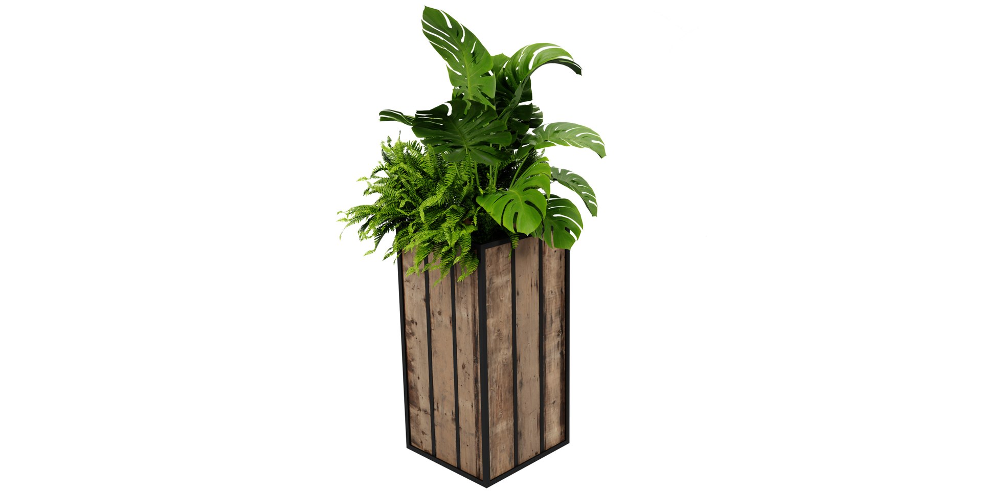 3D Collection plant vol 514 - blender model https://p.turbosquid.com/ts-thumb/gH/WhmYAs/h3/2/jpg/1691915215/1920x1080/fit_q87/bd8b8f19571840abbc22d9e088736a4224082786/2.jpg
