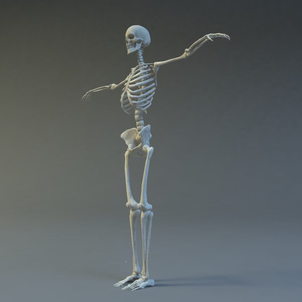 skeleton 3d 3ds