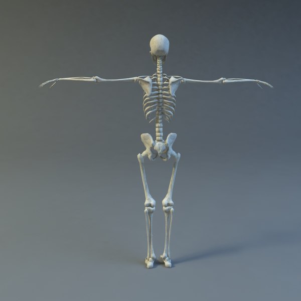 skeleton 3d 3ds