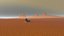 Paisagem do deserto realista