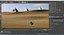 Paisagem do deserto realista