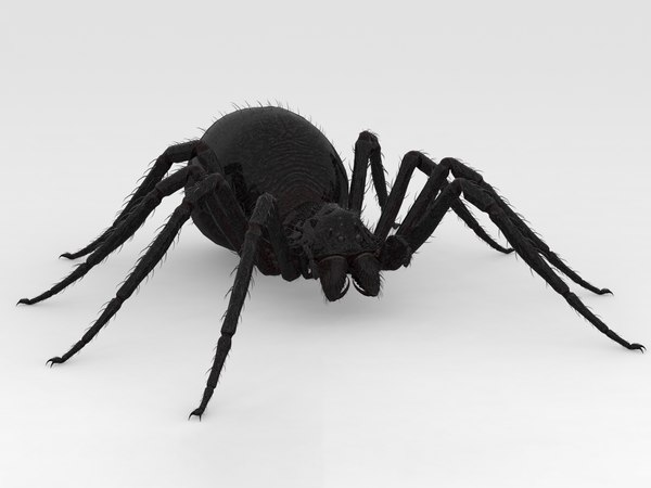 3D Giant Spider Model - TurboSquid 1841439