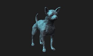 chihuahua dog 3D model
