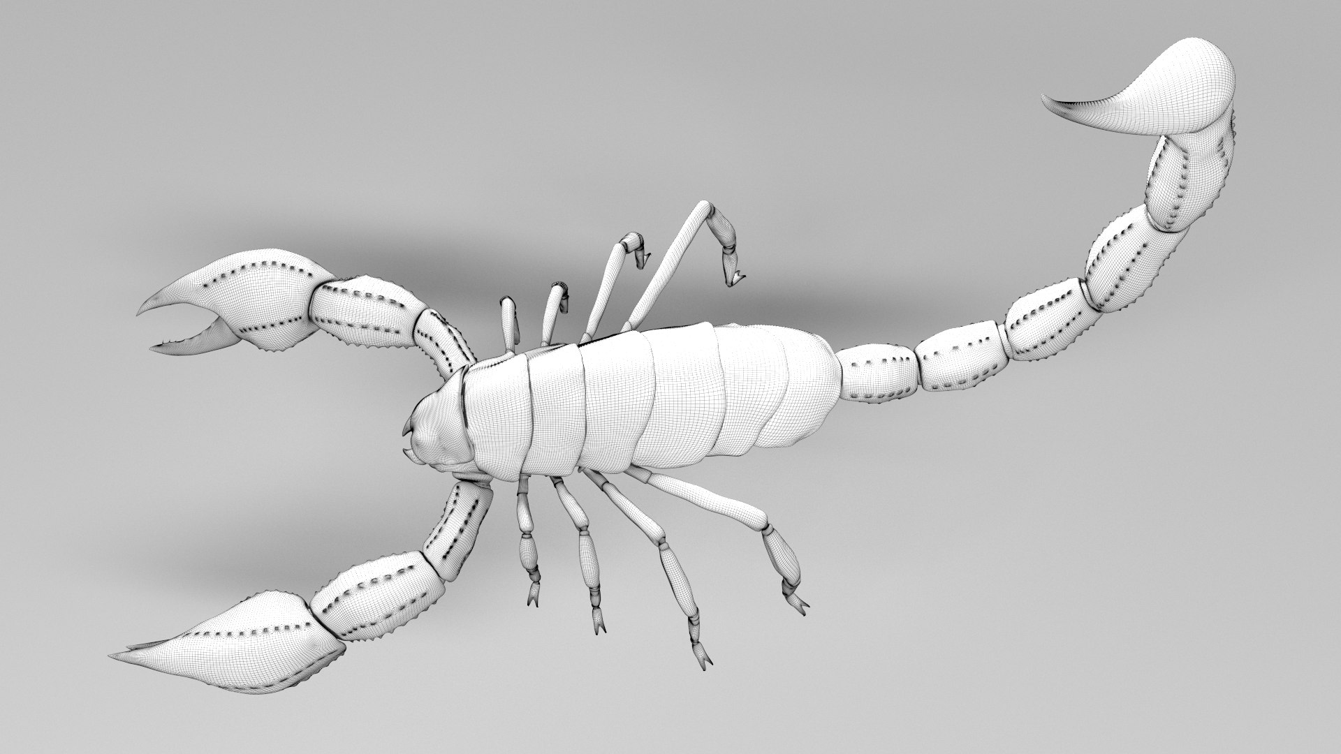 scorpion animation fbx