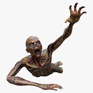 Zombie Crawling Animation Rigged