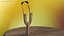 Slingshot Catapult Dark Wood