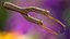 Slingshot Catapult Dark Wood