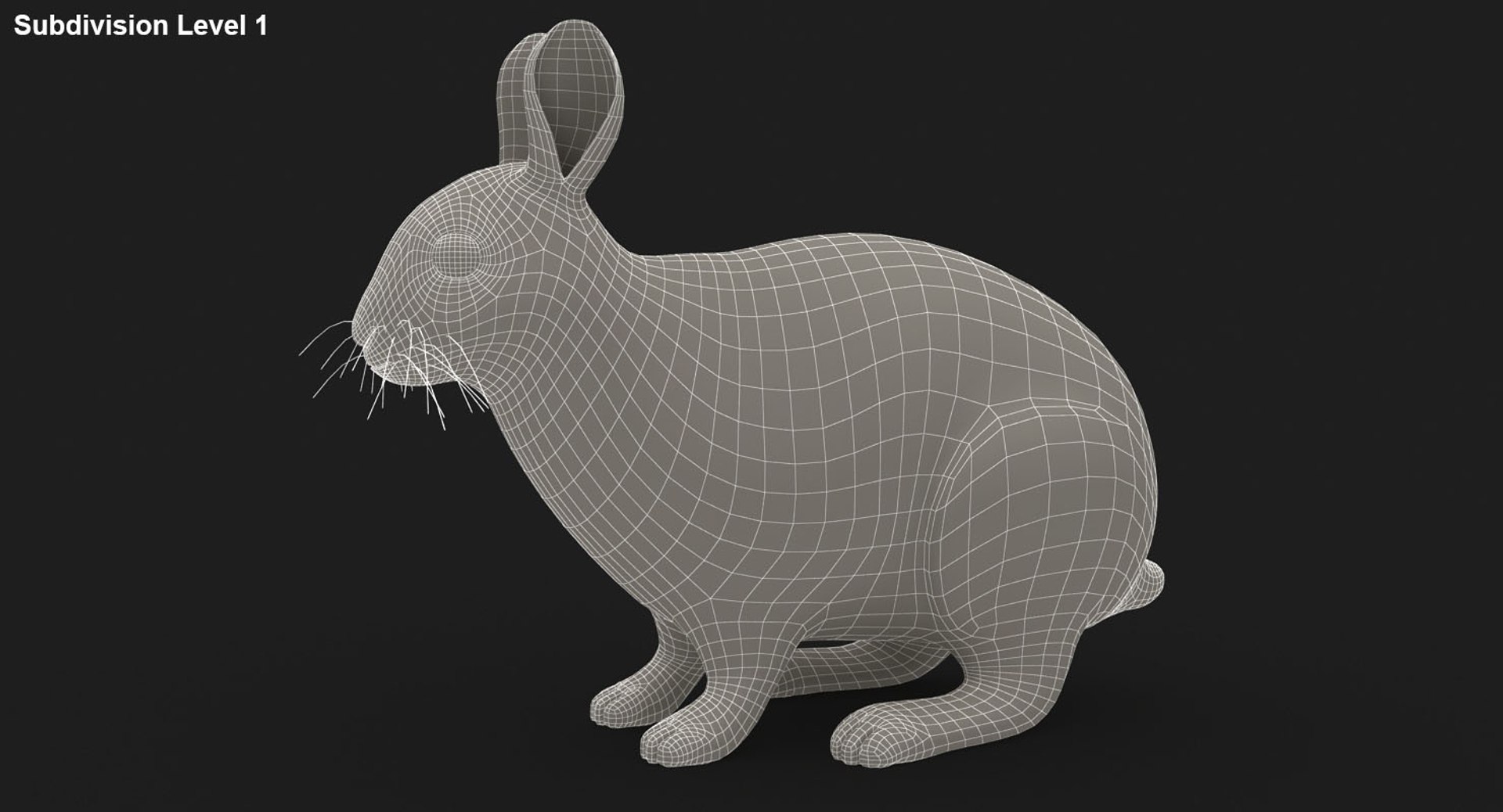 Realistic Rabbit 3D Model - TurboSquid 1307932